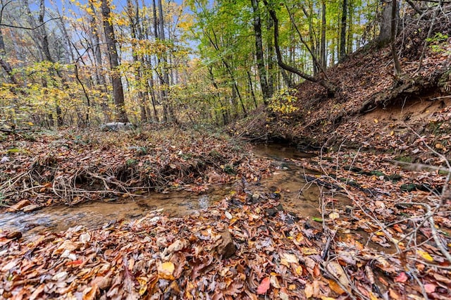 LOT65 Bridge Rd, Ellijay, GA 30540