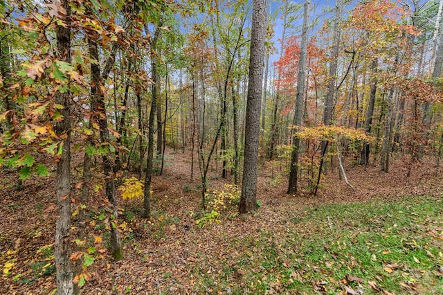 LOT65 Bridge Rd, Ellijay, GA 30540