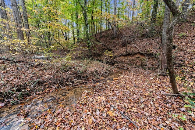 LOT65 Bridge Rd, Ellijay, GA 30540