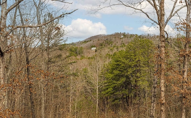 view of landscape with a forest view