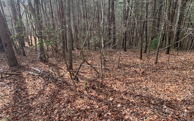 LOT20 Wolf Ridge Ln, Murphy NC, 28906 land for sale