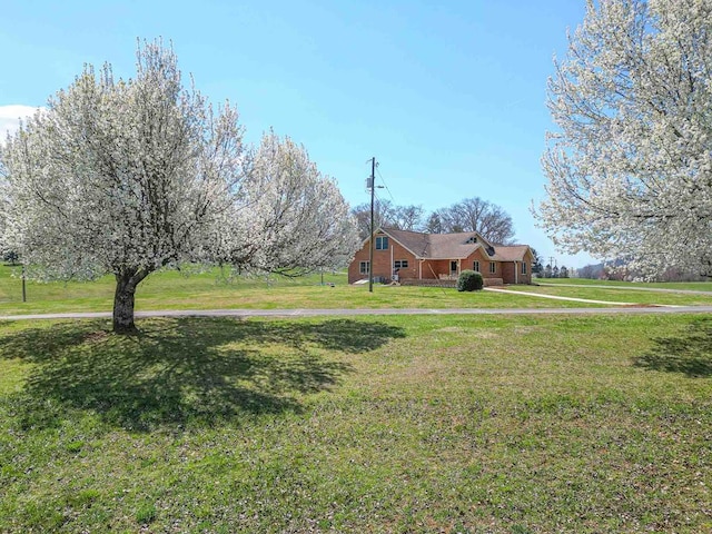 2915 Airport Rd, Marble, NC 28905 - view of yard