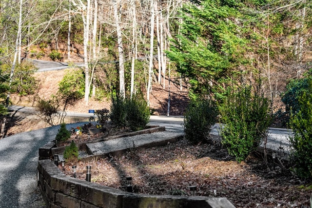 30 The Forest Rd, Blue Ridge, GA 30513 - view of yard