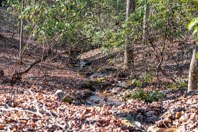 30 The Forest Rd, Blue Ridge, GA 30513 - view of nature