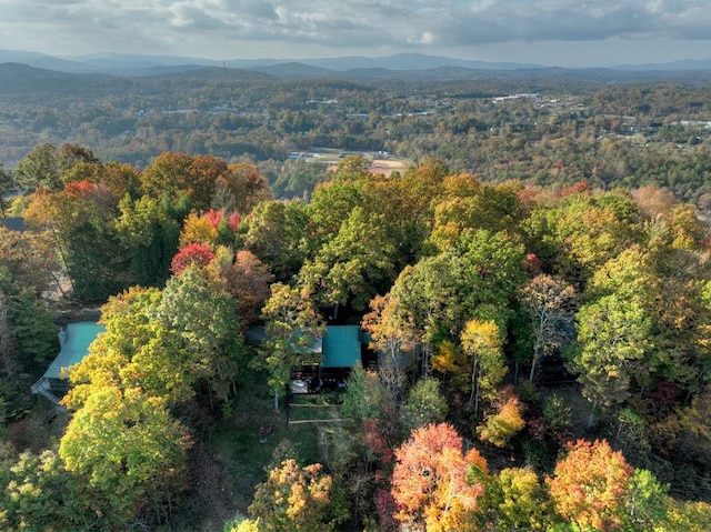 birds eye view of property featuring a mountain view