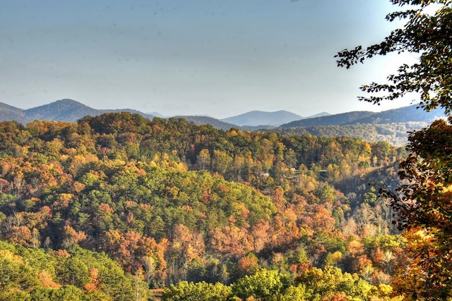 property view of mountains