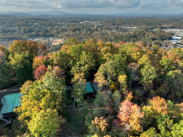 drone / aerial view with a mountain view