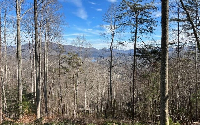 LOT8 Hidden Summit Rd, Hiawassee, GA 30546