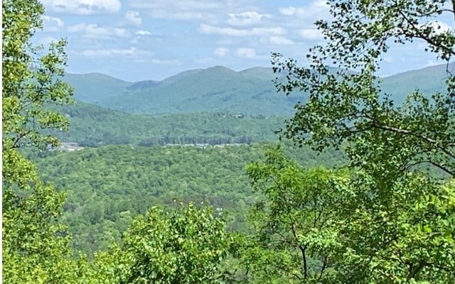 LOT8 Hidden Summit Rd, Hiawassee, GA 30546