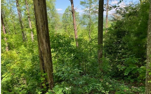 LOT8 Hidden Summit Rd, Hiawassee, GA 30546