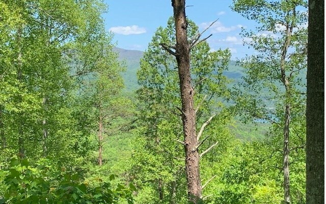 LOT8 Hidden Summit Rd, Hiawassee, GA 30546