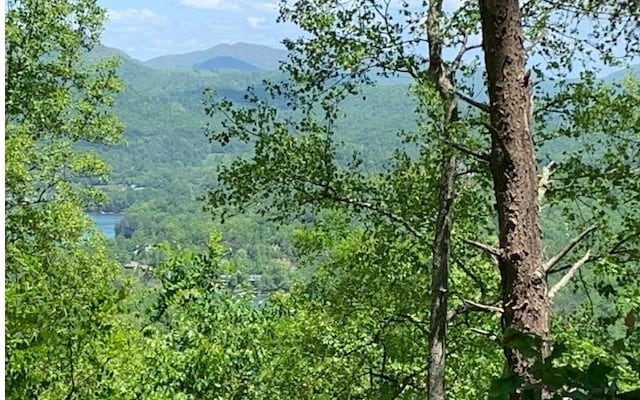 LOT8 Hidden Summit Rd, Hiawassee, GA 30546