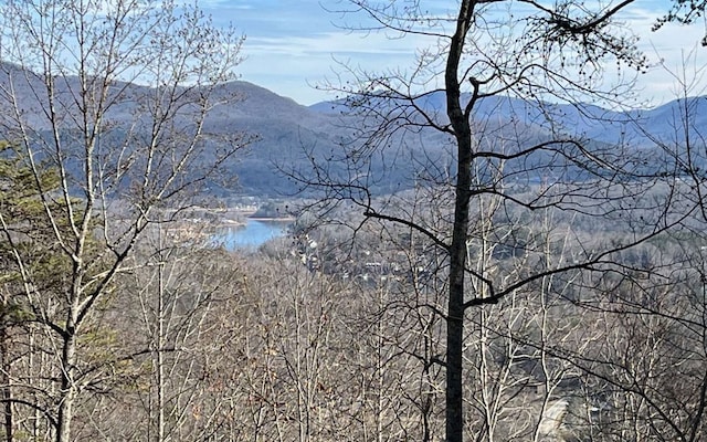 LOT8 Hidden Summit Rd, Hiawassee, GA 30546