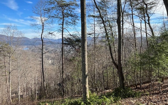 LOT8 Hidden Summit Rd, Hiawassee, GA 30546