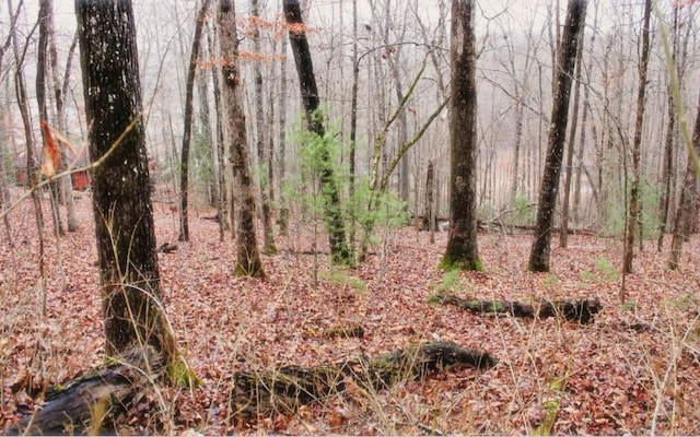 0 Rosencranz, Hayesville NC, 28904 land for sale