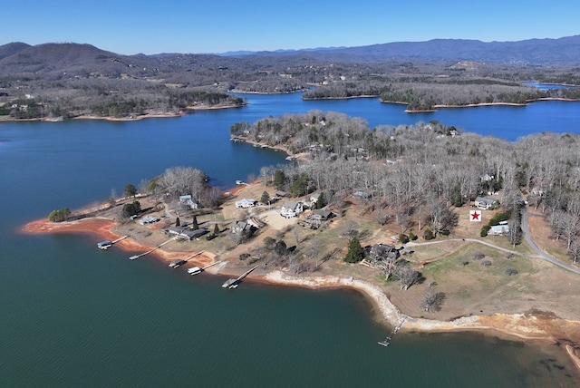 birds eye view of property featuring a water and mountain view