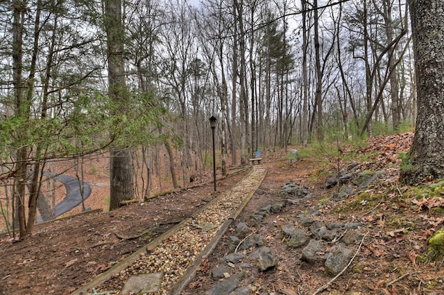 view of local wilderness