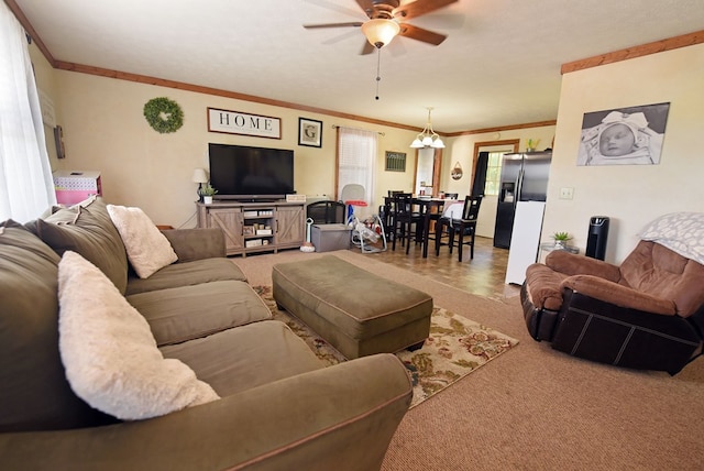 carpeted living room featuring ceiling fan with notable chandelier and crown molding