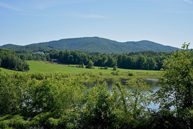 property view of mountains with a water view