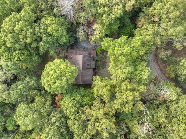 112 Songbird, Blue Ridge, GA 30513 - view of subject property featuring a forest
