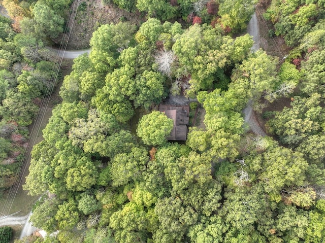 112 Songbird, Blue Ridge, GA 30513 - view of property location with a heavily wooded area