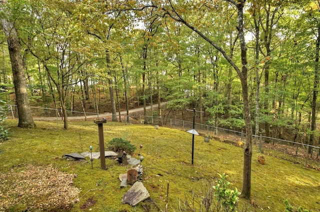 112 Songbird, Blue Ridge, GA 30513 - view of yard