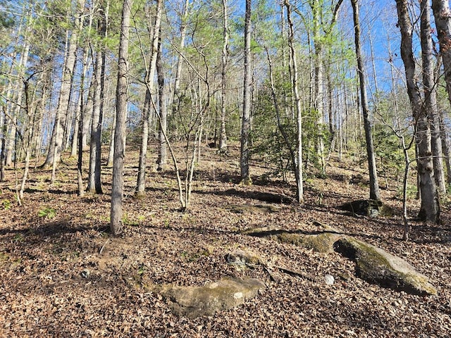 LOT67 Hi River Country, Hiawassee GA, 30546 land for sale