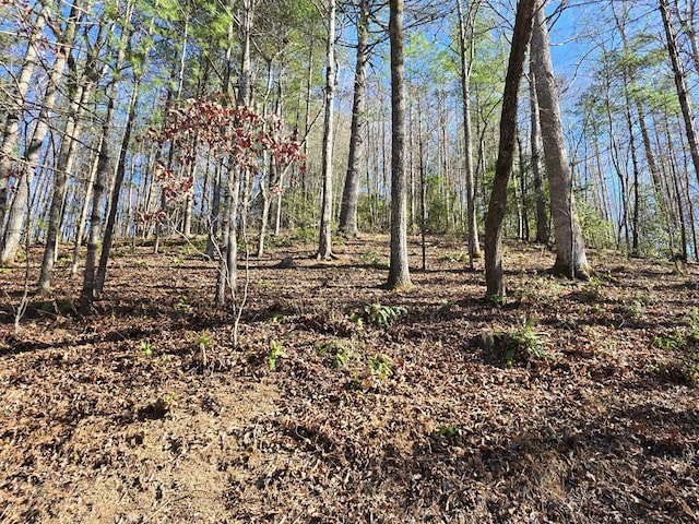 Listing photo 2 for LOT67 Hi Ridge Rd, Hiawassee GA 30546