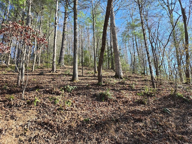 Listing photo 3 for LOT67 Hi River Country, Hiawassee GA 30546