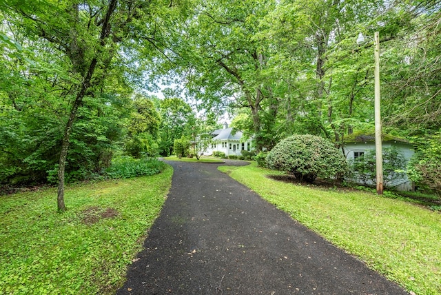 10 New Town St, Tate, GA 30177 - view of front of house