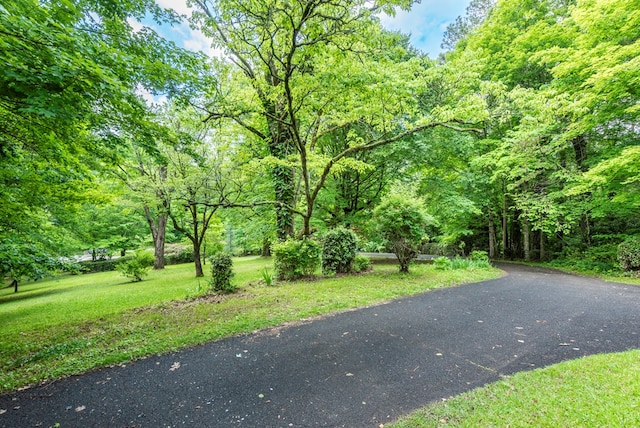10 New Town St, Tate, GA 30177 - view of road