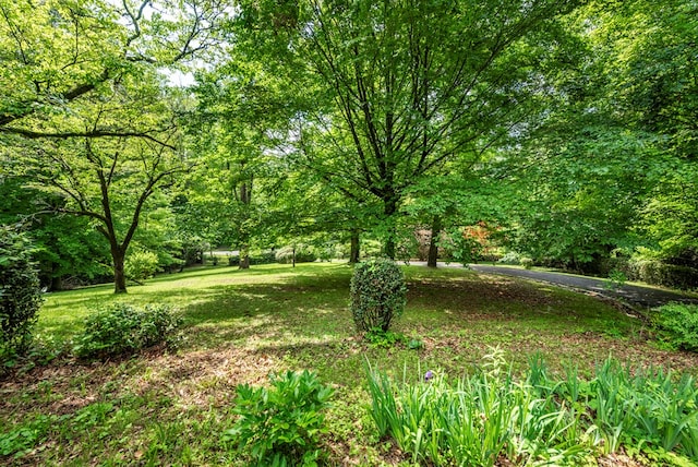 10 New Town St, Tate, GA 30177 - view of grassy yard