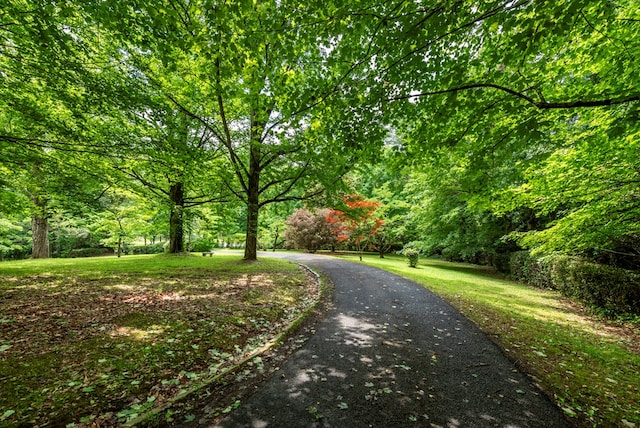 10 New Town St, Tate, GA 30177 - surrounding community with a yard and a view of trees