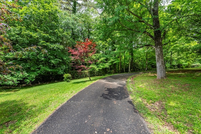 10 New Town St, Tate, GA 30177 - view of road with a forest view