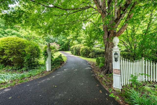 10 New Town St, Tate, GA 30177 - view of community