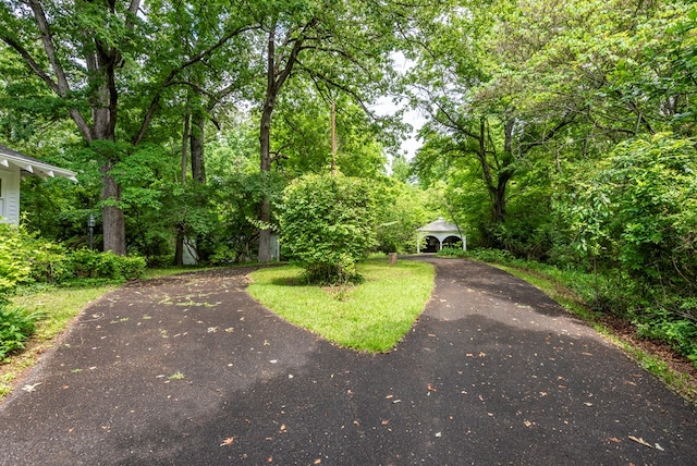 10 New Town St, Tate, GA 30177 - view of front facade with asphalt driveway