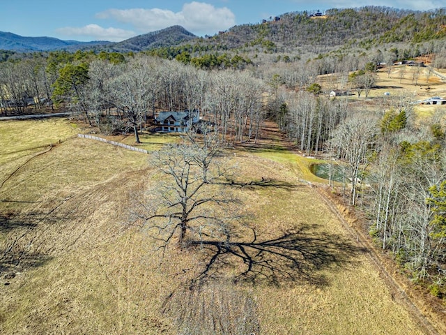 birds eye view of property featuring a mountain view