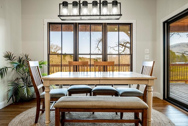 dining space featuring wood-type flooring and a healthy amount of sunlight