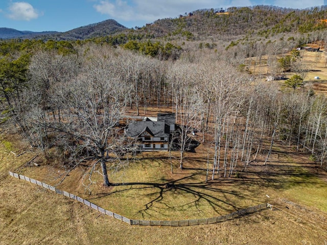 drone / aerial view featuring a mountain view and a rural view