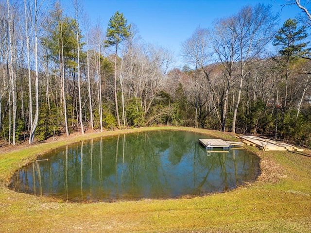 view of water feature