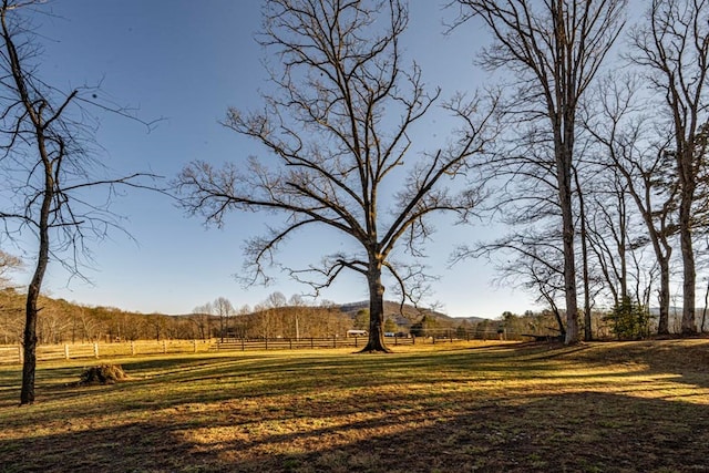 view of yard featuring a rural view