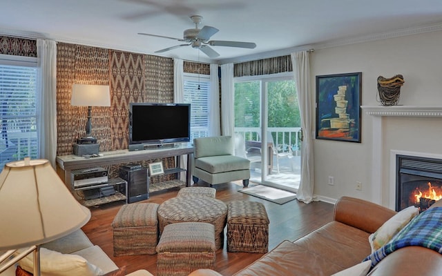 living room with hardwood / wood-style floors, ceiling fan, and ornamental molding