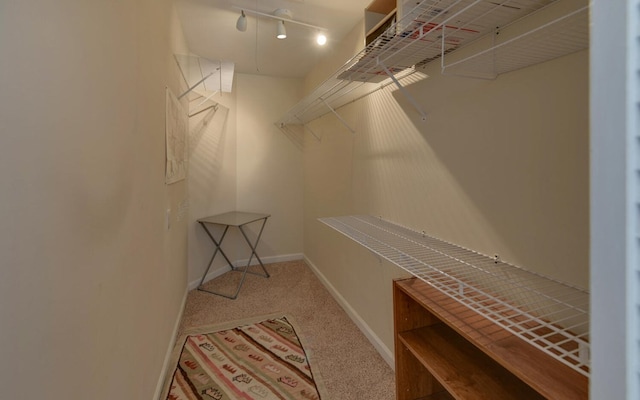 spacious closet featuring carpet flooring