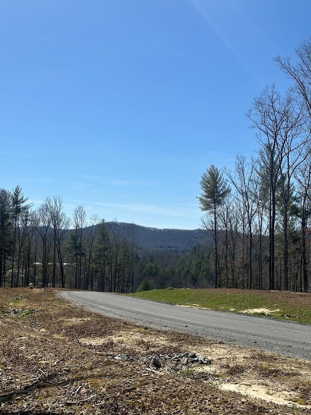 LOT188 The Rdgs, Morganton GA, 30560 land for sale