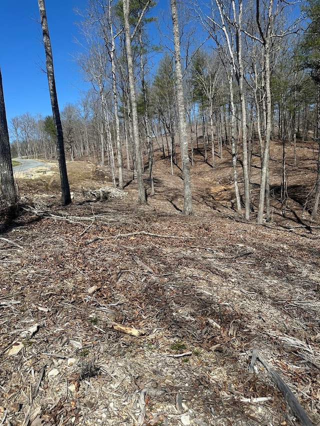 Listing photo 2 for LOT188 The Rdgs, Morganton GA 30560