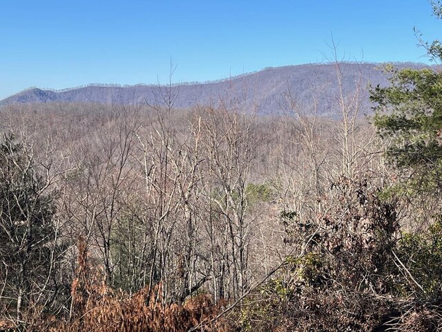 LOT37 Sky View Dr, Hayesville, NC 28904