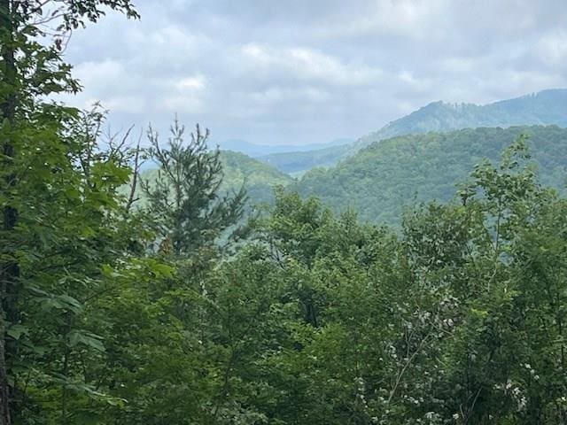 Listing photo 2 for LOT37 Sky View Dr, Hayesville NC 28904