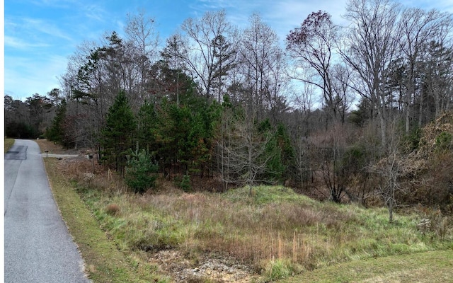 Listing photo 3 for LT53 Clay Dr, Blairsville GA 30512