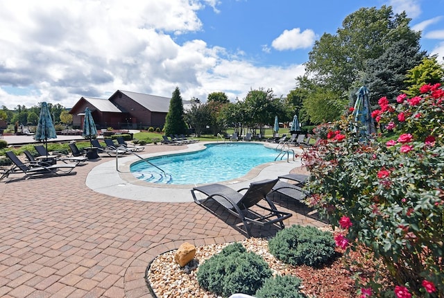 view of swimming pool with a patio area