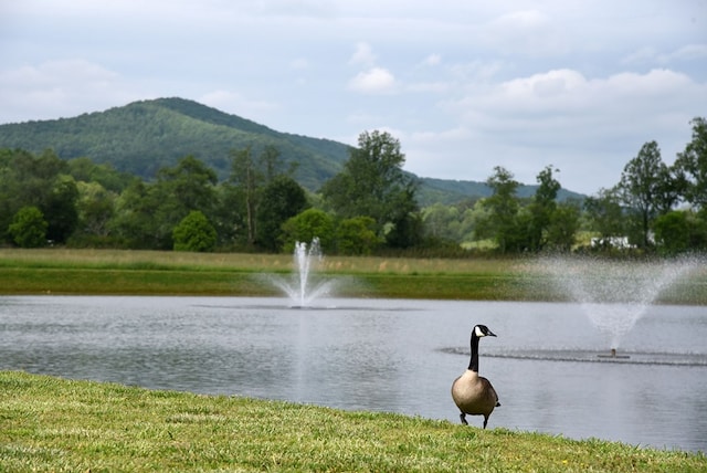 property view of water featuring a mountain view